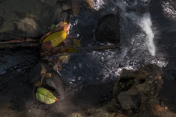 Ağaç yaprakları ile küçük şelaleler. Sonbahar.