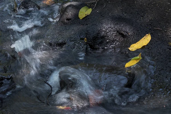 Ağaç yaprakları ile küçük şelaleler. Sonbahar.