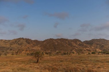 Afrika çiftlik alanı. Angola