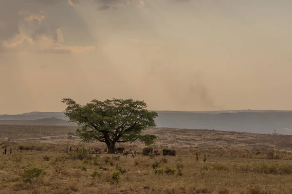 Réunion de la communauté africaine sous un arbre . — Photo