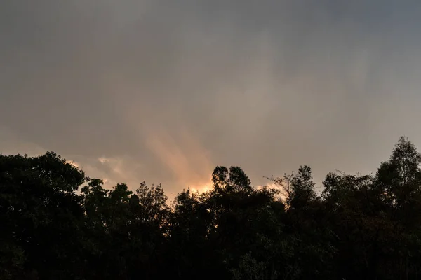 Zonsondergang in het bos. — Stockfoto