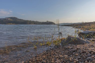 Göl günbatımı. Alg ve ile wate içinde doğmuş olmak