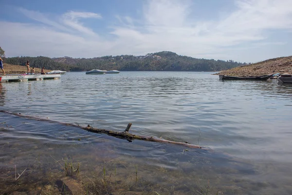Lago con tronco de madera flotante . — Foto de Stock