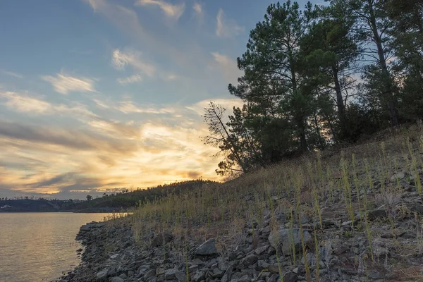 Vista del lago con algas puesta de sol y piedras. Serra de Tomar. Portu. — Foto de Stock