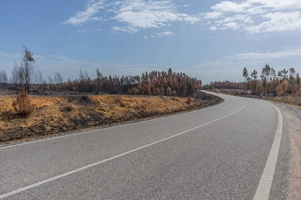 Státní silnice s spáleného lesa. Portugalsko — Stock fotografie