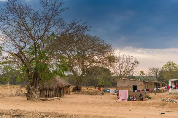 imbondeiros ile küçük bir Afrika köy. Angola.