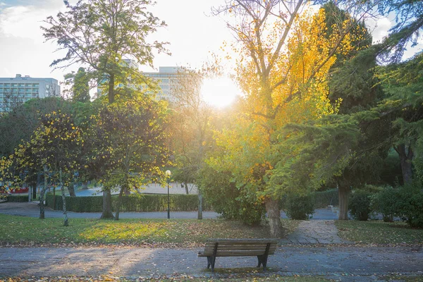 Parque Eduardo Setimo Miejskich Lizbonie Portugalia — Zdjęcie stockowe