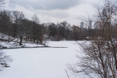 new York'taki central park donmuş göl.