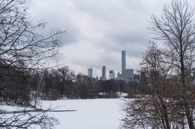 new York'taki central park donmuş göl.