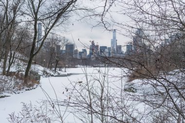 new York'taki central park donmuş göl.