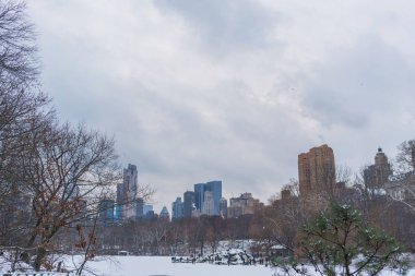 Göl donmuş central Park Manzaralı arka planda, New York City.