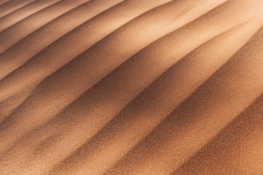 Dune doku çölde closeup. Kırmızı dune, Namibya. Sossuvlei