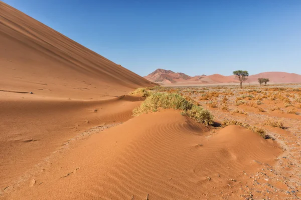 관목과 나미비아 사막에 있는 붉은 모래 언덕 풍경입니다. Sossusvlei. — 스톡 사진