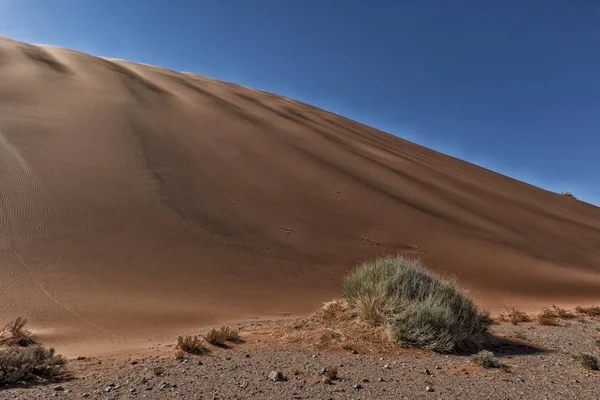 관목과 나미비아 사막에 있는 붉은 모래 언덕 풍경입니다. Sossusvlei. — 스톡 사진