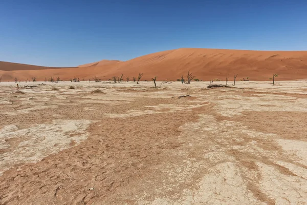 나미비아의 사막에서 죽음 vley의 개요. Sossusvlei. — 스톡 사진