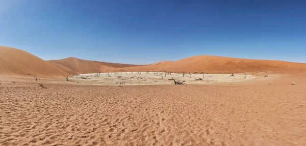 나미비아의 사막에서 죽음 vley의 개요. Sossusvlei. — 스톡 사진