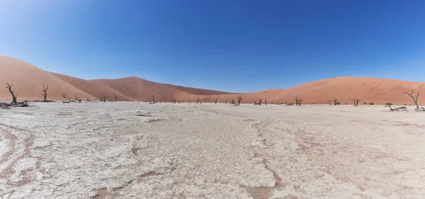 Panoramica de vley mort dans le désert de Namibie. Sossusvlei. — Photo