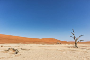 Ölüm vlei peyzaj, Kuru ve ölü ağaçlar Sossusvlei kırmızı kum tepelerine ile. Namibya.