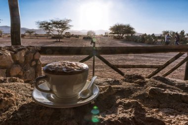 Namibya Afrika savana bakan kapuçino fincan. Afrika.
