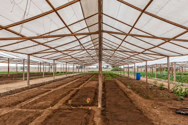 Innenansicht des Gewächshauses mit zukünftiger Tomatenplantage. — Stockfoto