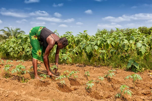 CABINDA / ANGOLA - 09 JUN 2010 - Agricultor rural para labrar tierras en Cabinda. Angola, África . — Foto de Stock