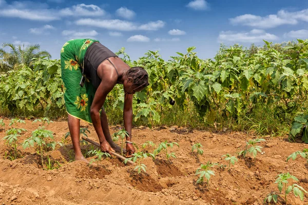 CABINDA / ANGOLA - 09 JUN 2010 - Agricultor rural para labrar tierras en Cabinda. Angola, África . — Foto de Stock