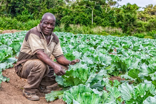 CABINDA / ANGOLA - 09 JUN 2010 - Retrato del agricultor rural africano en plantación . — Foto de Stock