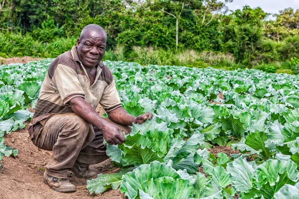 Çiftlik Afrika kırsal çiftçi portresi: Cabinda/Angola - 09 Haz 2010-.