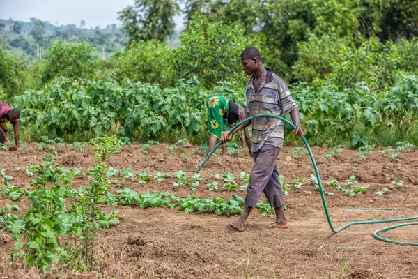 CABINDA / ANGOLA - 09 JUN 2010 - Agricultor rural africano para regar plantaciones . — Foto de Stock