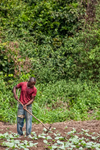 카빈다/앙골라 2010 년 6 월 9 일-카빈다에서 땅까지 시골 농부입니다. 앙골라, 아프리카. — 스톡 사진