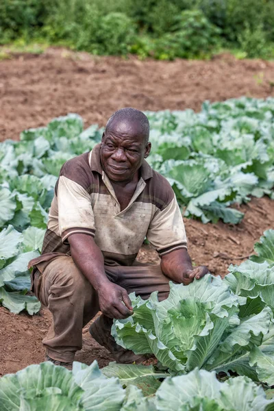 CABINDA / ANGOLA - 09 JUN 2010 - Retrato del agricultor rural africano. Cabinda. Angola . — Foto de Stock