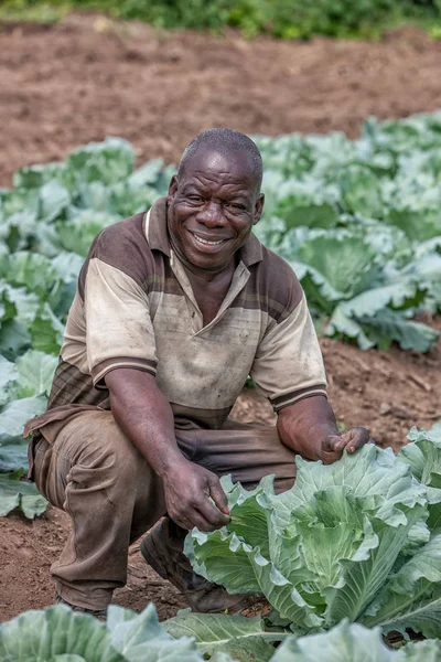 Cabinda och Angola - 09 Jun 2010 - porträtt av afrikanska landsbygdens jordbrukare. Cabinda. Angola. — Stockfoto