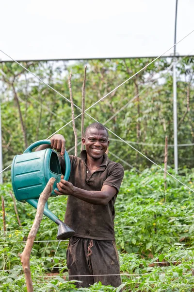 Cabinda och Angola - 09 Jun 2010 - afrikanska landsbygdens jordbrukare till vattning plantation. — Stockfoto