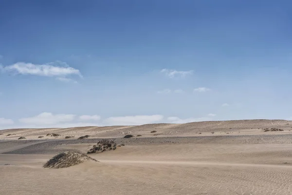 Дюны пустыни Намибе с растительностью. Африка. Ангола . — стоковое фото
