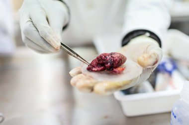 Balıkların içi laboratuarda ve kalite testinde test edilecek.