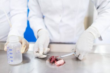 Balıkların içi laboratuarda ve kalite testinde test edilecek.