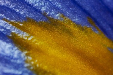 Mavi ve sarı bitki yaprağının Ultra Makro detaylı fotoğrafı.