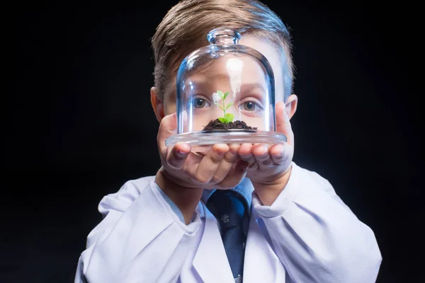 Little boy holding plant — Stock Photo, Image