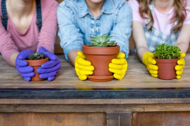 women with plants in flowerpots clipart