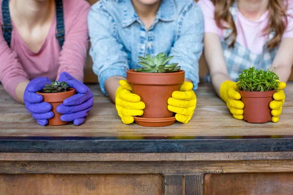 Donne con piante in vasi da fiori — Foto Stock