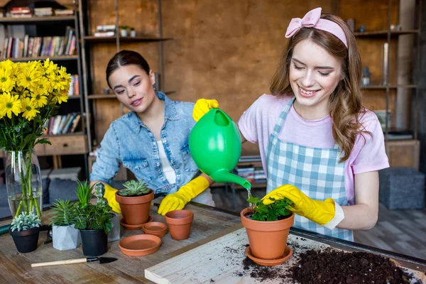 Women watering plant — Stock Photo, Image