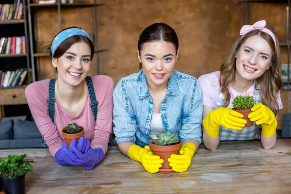 Donne con piante in vasi da fiori — Foto Stock