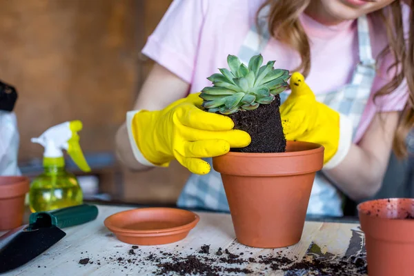 Donna mettendo pianta in vaso da fiori — Foto Stock