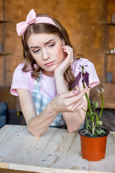 Mujer con planta en maceta — Foto de Stock