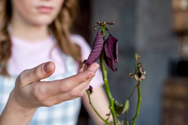 woman touching plant
