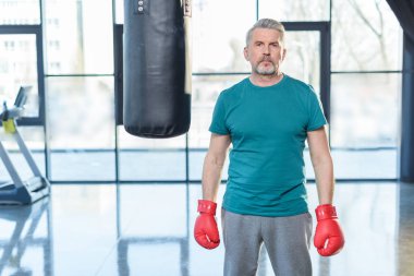 üst düzey sporcu boks eldiven