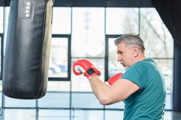 Senior sportsman punching bag — Stock Photo, Image