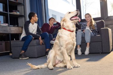 Gençler ve golden retriever köpek 