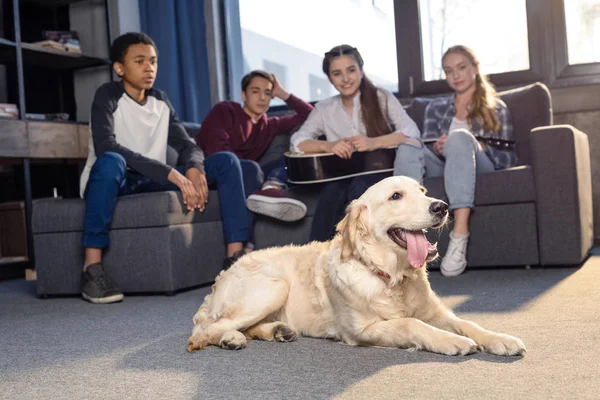 Teenagers and golden retriever dog — Stock Photo, Image