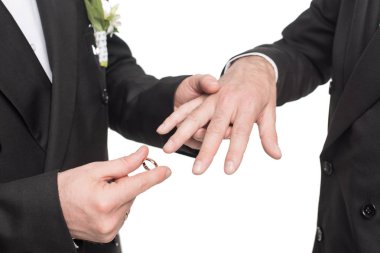 homosexual couple exchanging wedding rings clipart